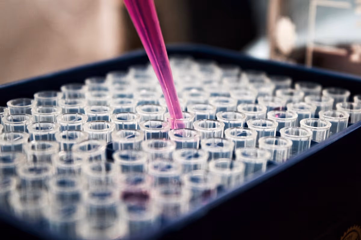 Pipeta adicionando líquido em tubos de ensaio em laboratório de pesquisa Pipeta adicionando líquido em tubos de ensaio em laboratório de pesquisa